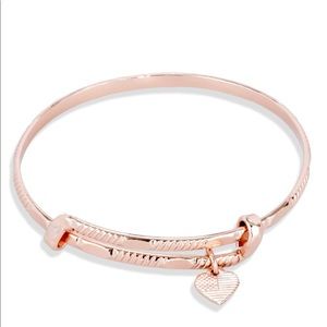 NWOT Alex and Ani Amber Waves Expandable Bangle